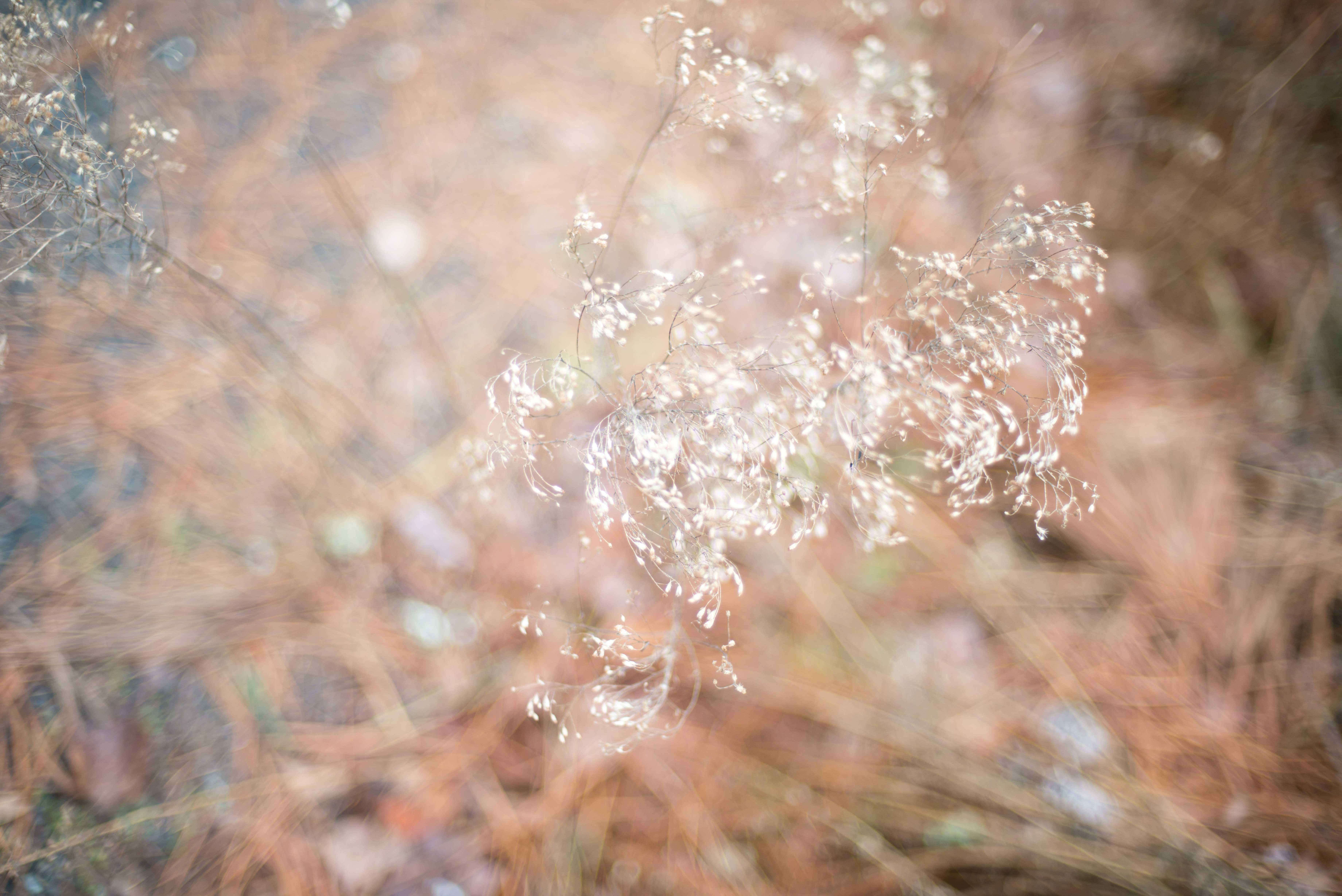 TextureBlog_10