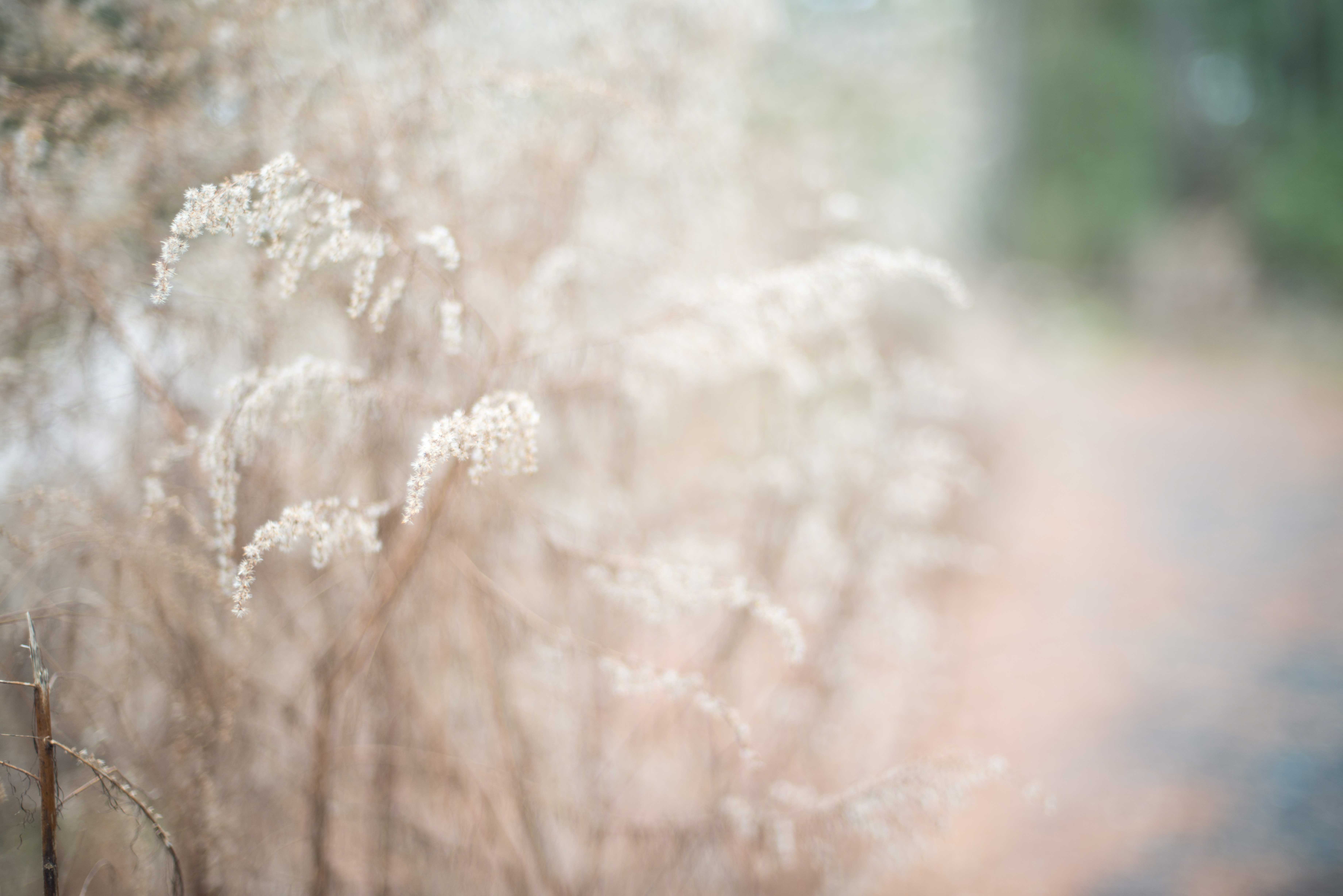 TextureBlog_11
