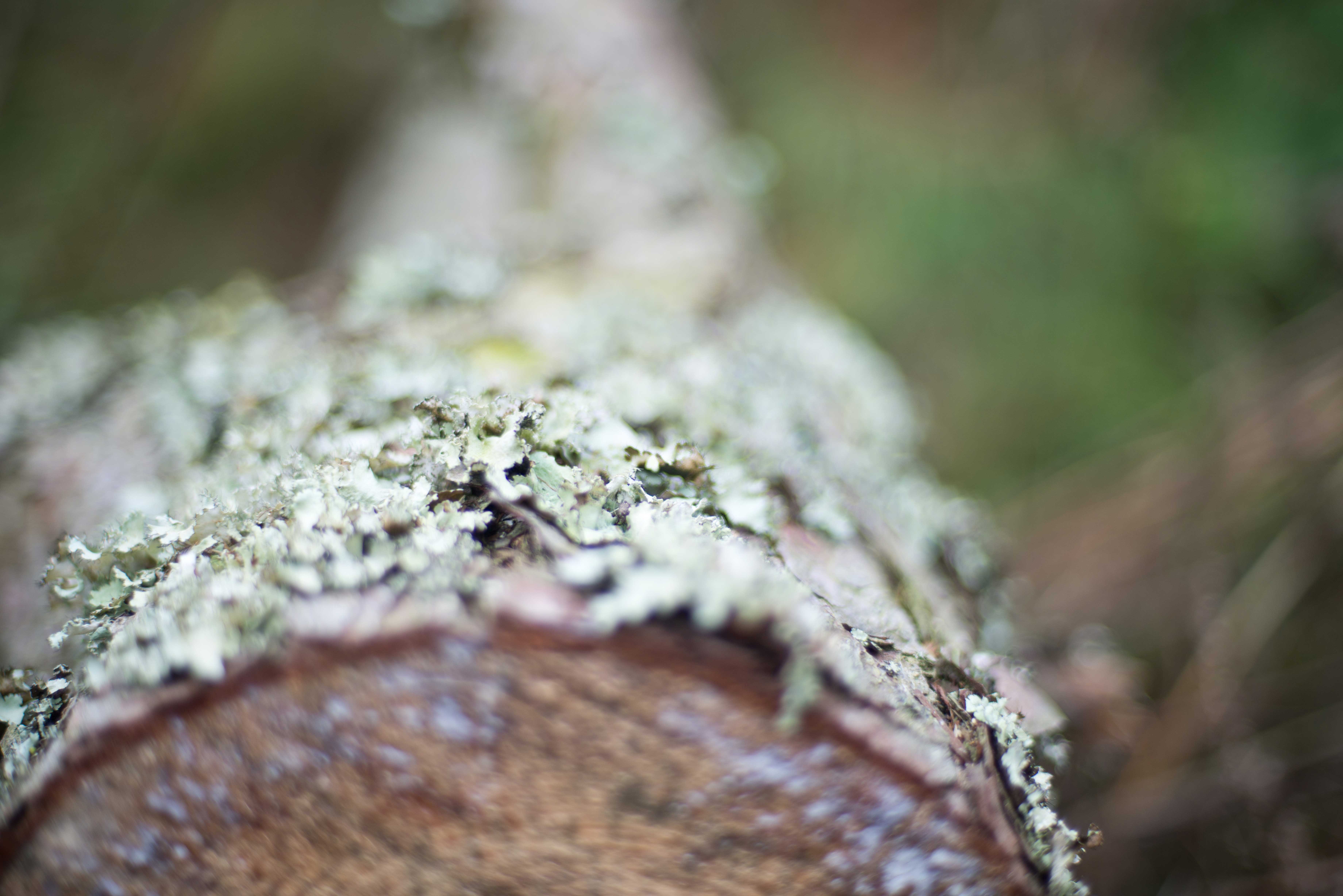 TextureBlog_13