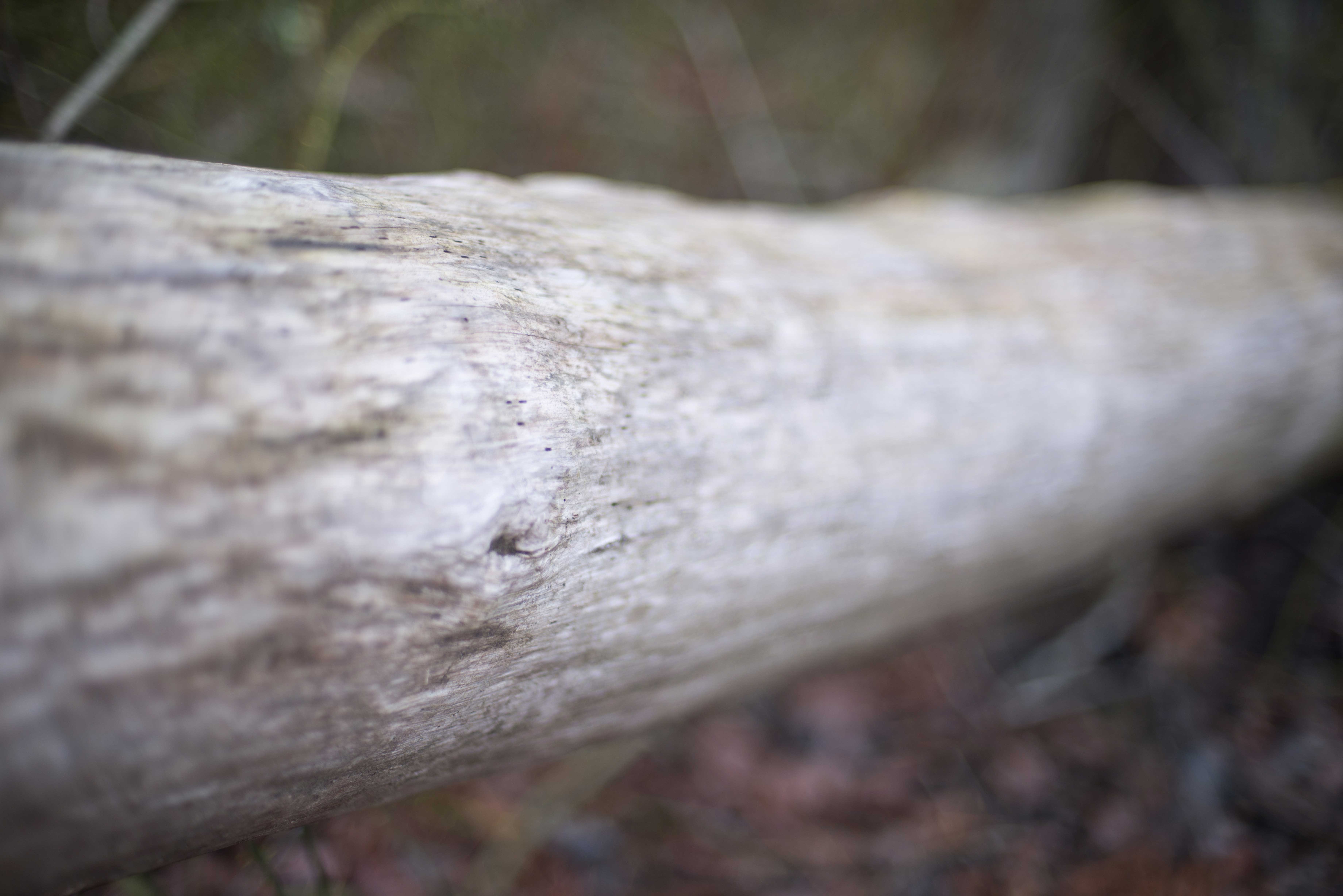 TextureBlog_14