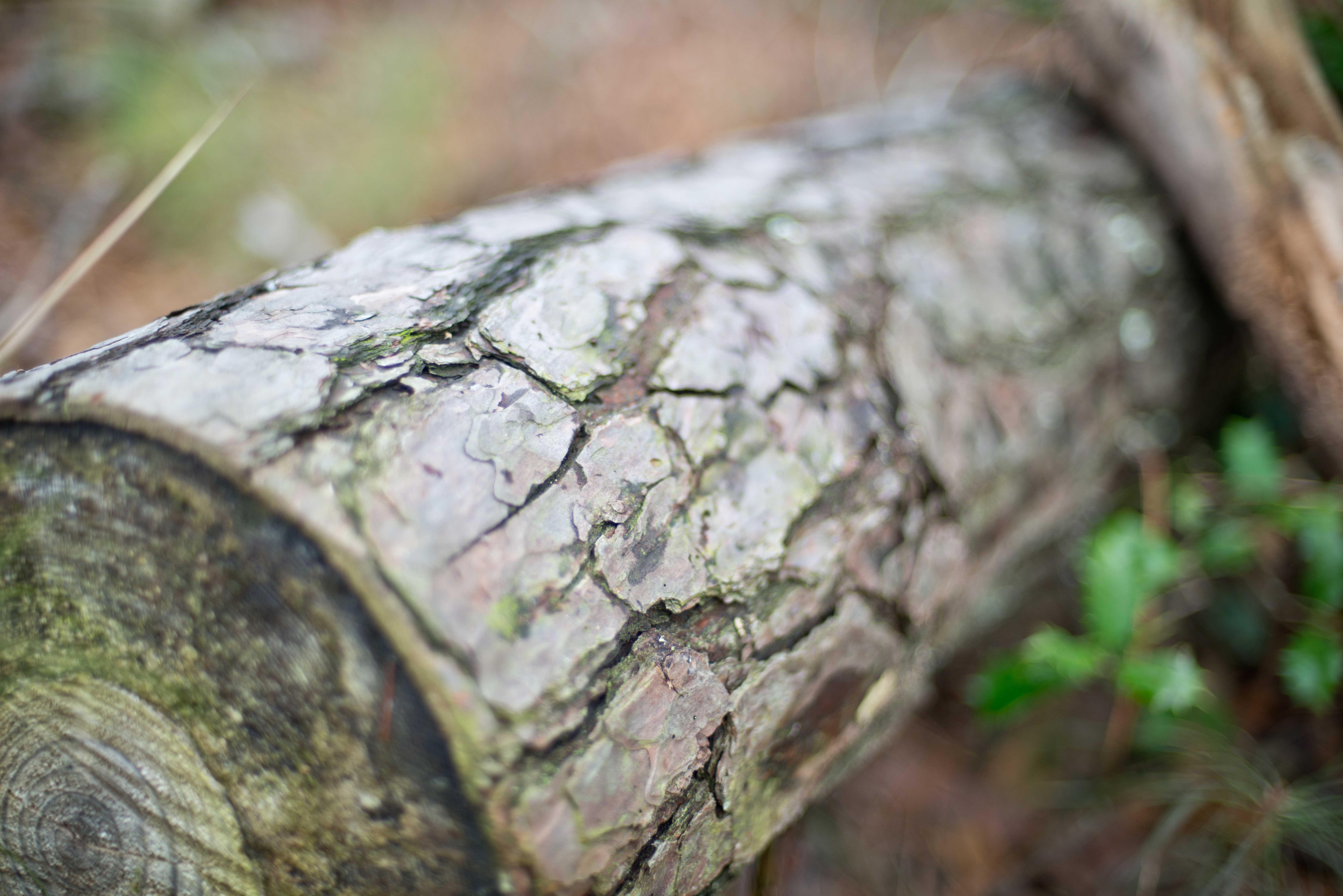 TextureBlog_15