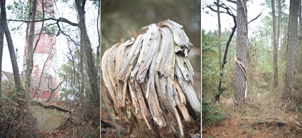 TextureBlog_8