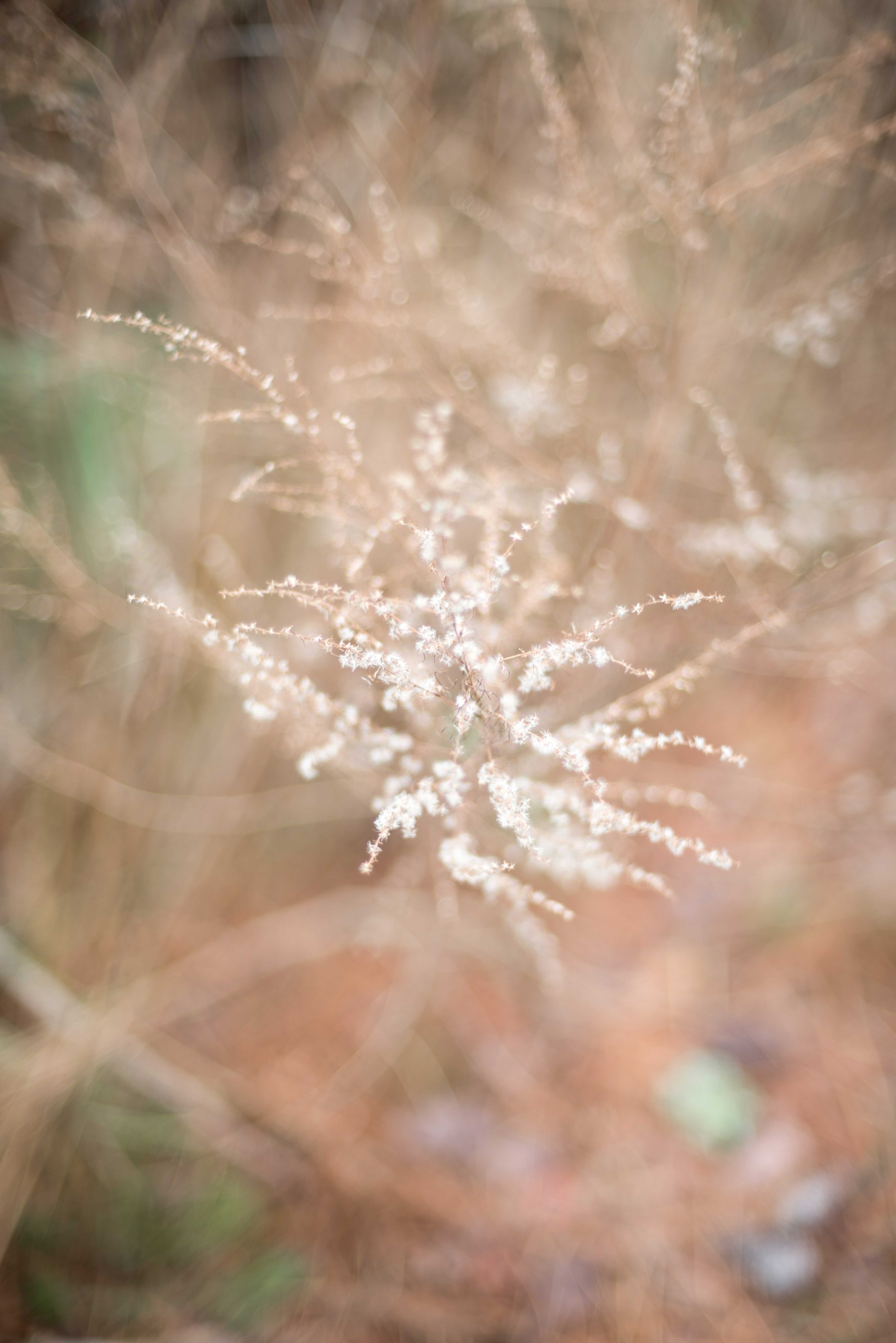 TextureBlog_9